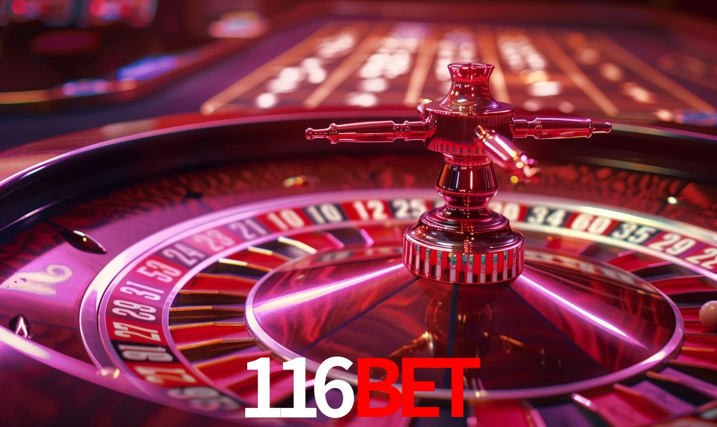 Interface Premium 116bet
